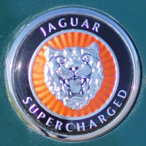 Jaguar - LOGO